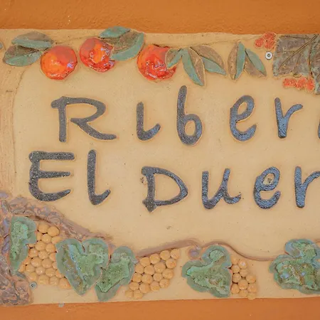 Ribera Del Duero 컨트리하우스 Traspinedo